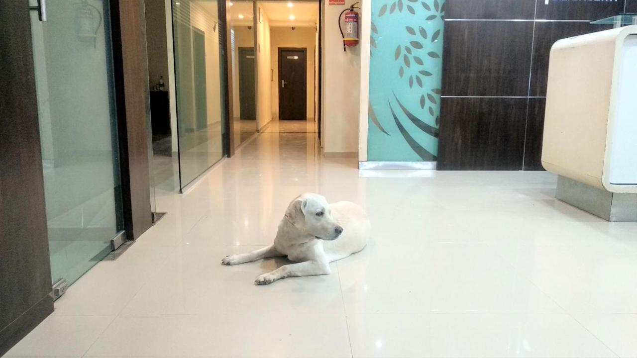 Sai Srushti By Neem Square Otel Shirdi Dış mekan fotoğraf